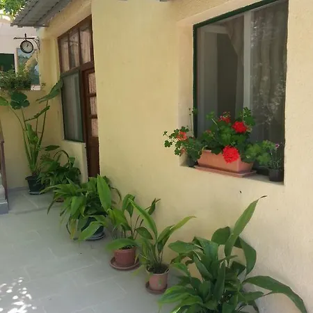 Apartments Darinka Skradin Room photo
